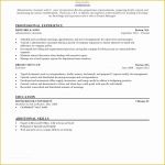 Fancy Resume Templates Free Of Nice Fancy Resumes Inspiration Entry Level Fancy Resume