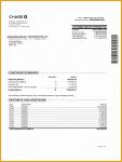 Statement Template Free Download Of 8 Bank Statement Template Free
