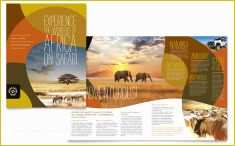 Travel Brochure Template Free Of African Safari Brochure Template Design