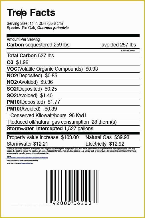 24 Labels Per Sheet Template Free Of Q Connect Labels Template 24 Per Sheet Download Blank