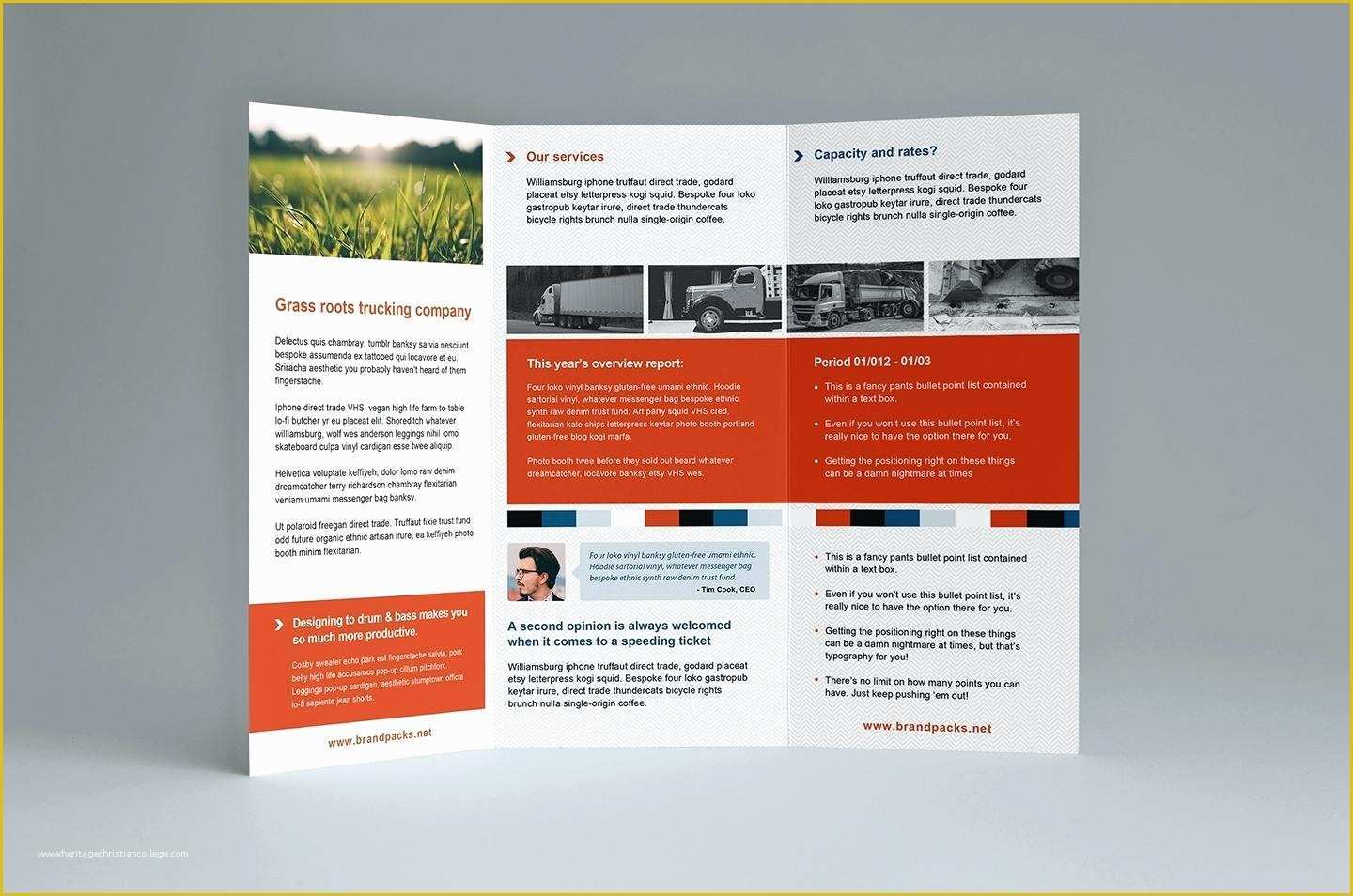 3 Fold Brochure Template Free Download Of 3 Fold Brochure Template Indesign