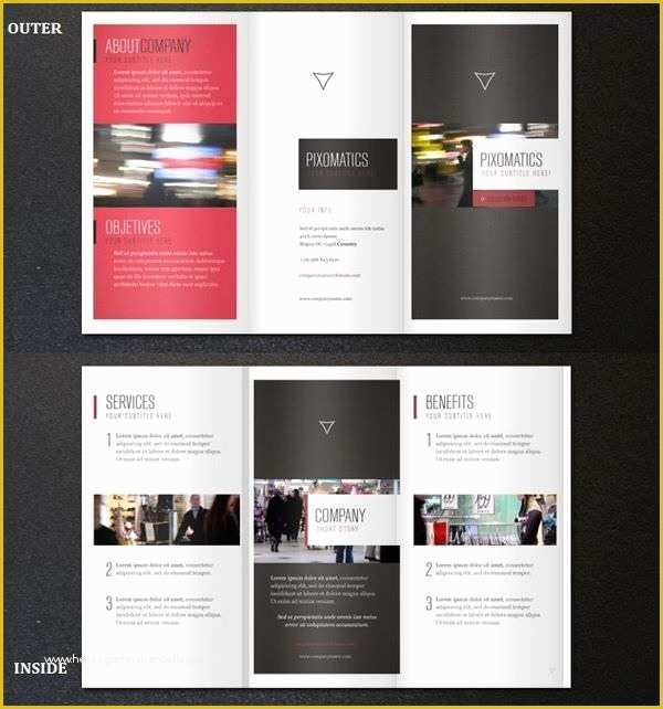 48 3 Fold Brochure Template Free Download
