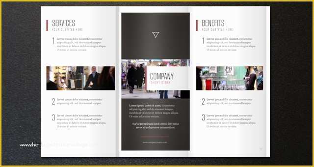 3 Fold Brochure Template Free Download Of Corporate Tri Fold Brochure Template 2