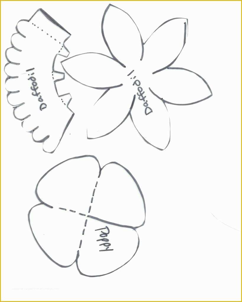 5 Petal Flower Template Free Printable Of 5 Petal Flower Template