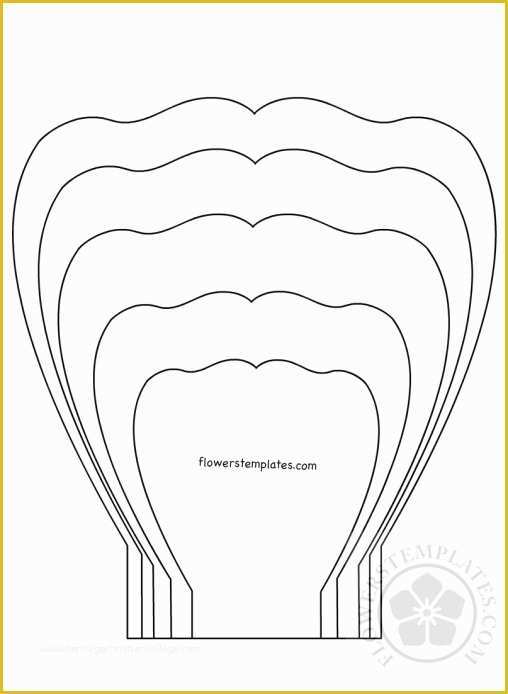 5 Petal Flower Template Free Printable Of Flower Petal