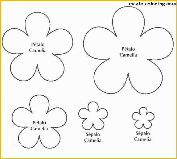 5 Petal Flower Template Free Printable Of Printable Flower Petal Template Drawn 7 Cut Out