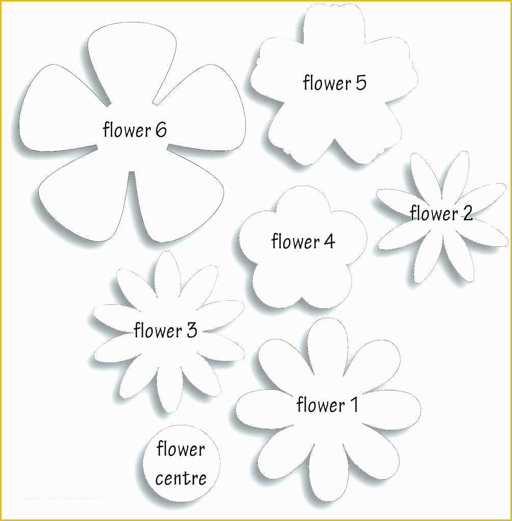 5 Petal Flower Template Free Printable Of Template 5 Petal Flower Template Learn to Craft Giant