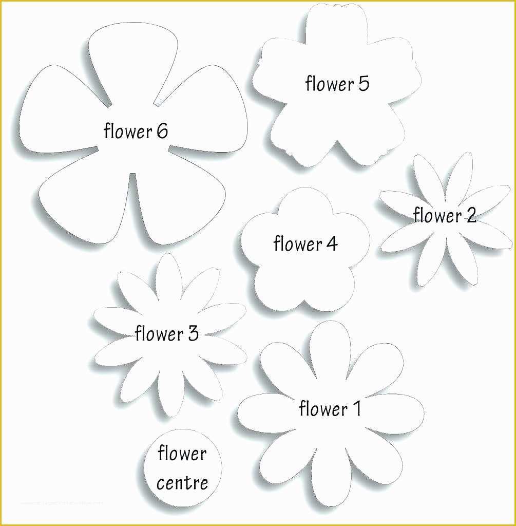 5 Petal Flower Template Free Printable