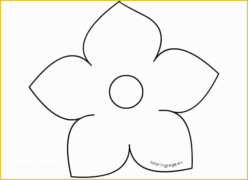 5 Petal Flower Template Free Printable Of Template Printable Paper Flower Templates Template