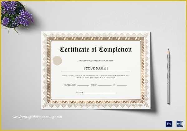 Bachelor Degree Template Free Of 38 Sample Certificate Templates Pdf Doc