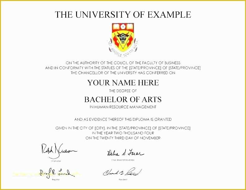 Bachelor Degree Template Free Of Bachelor Degree Template Fake Degree Template University