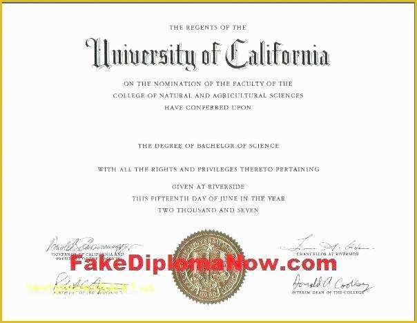 Bachelor Degree Template Free Of Bachelor Degree Template Fake Degree Template University