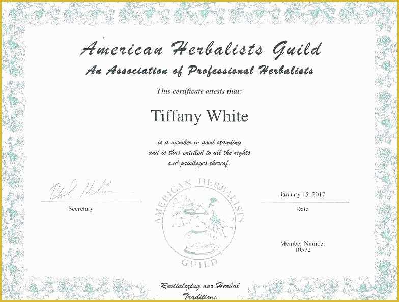 Bachelor Degree Template Free Of Free University Graduation Certificate Template Design