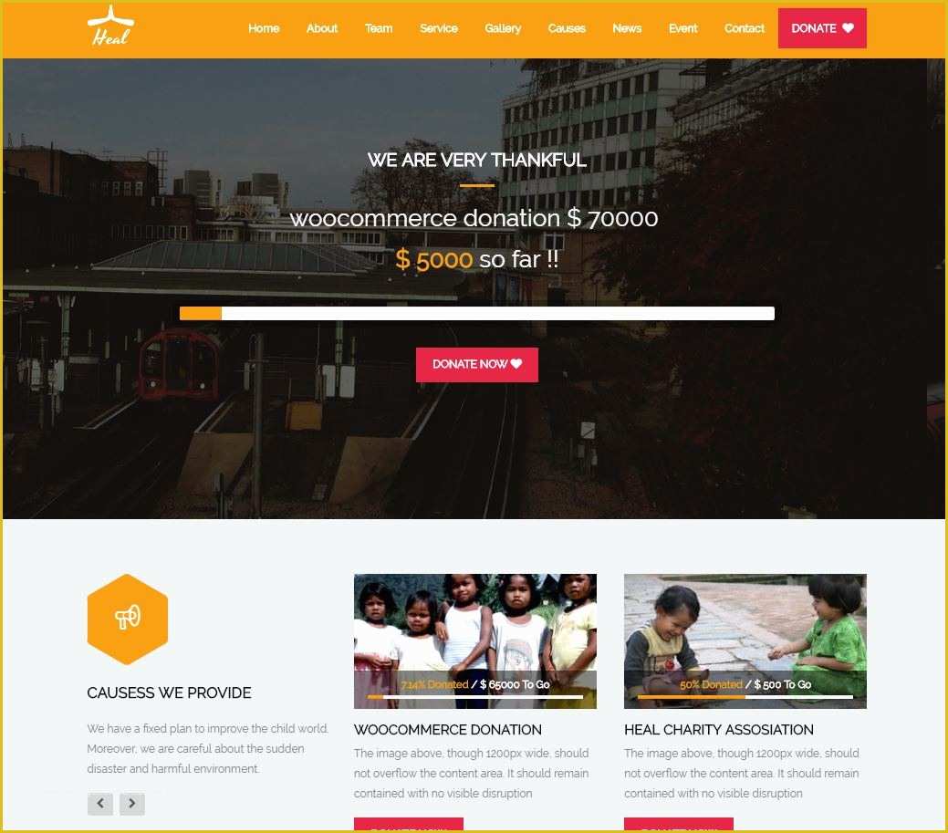 Best Free Wordpress Templates Of Best Wordpress themes for Your Charity Crowdfunding and