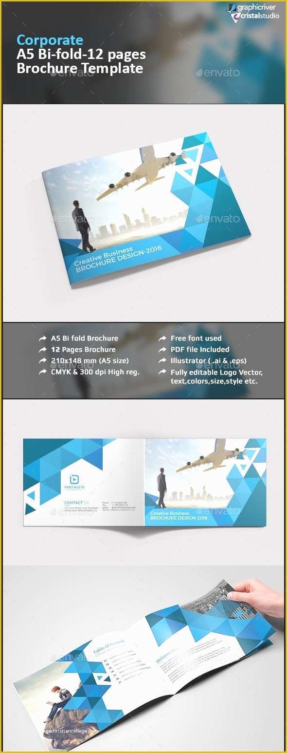 Bi Fold Brochure Template Free Of Bi Fold Brochure Template Word Mughals