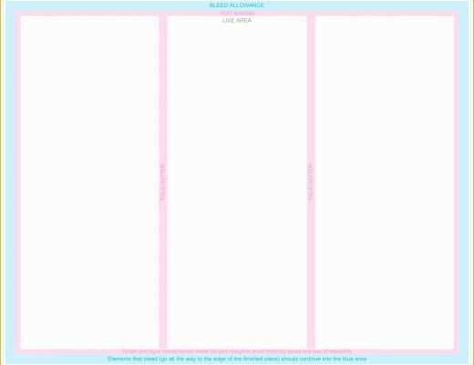 Bi Fold Brochure Template Free Of Blank Tri Fold Brochure Template Example Mughals