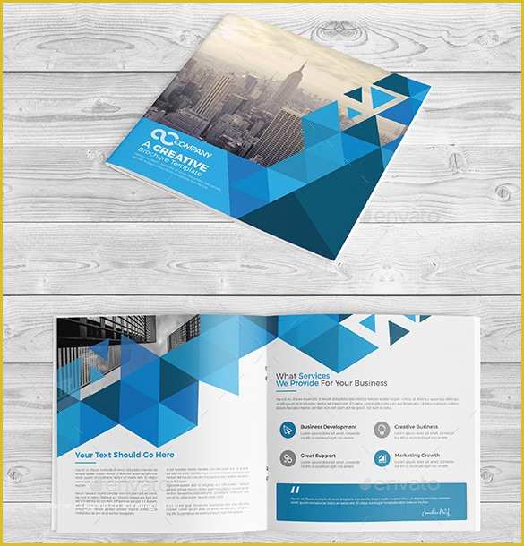 Bi Fold Brochure Template Free Of Blank Tri Fold Brochure Template Free Download Templates