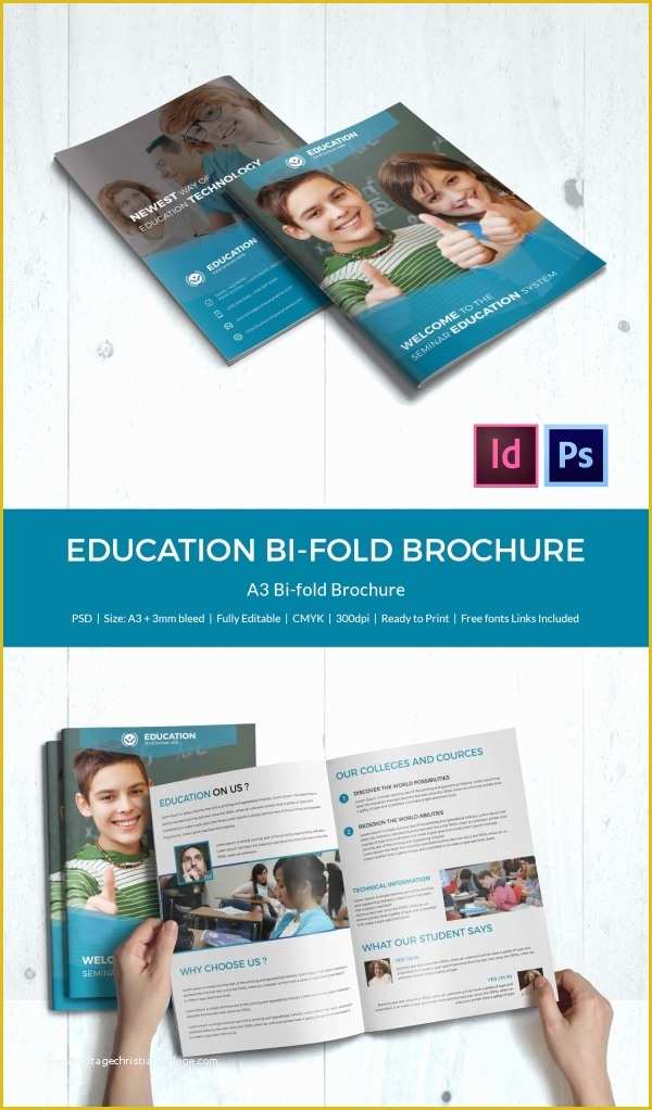 Bi Fold Brochure Template Free Of Education Brochure Template 43 Free Psd Eps Indesign
