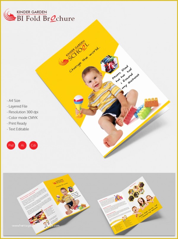 Bi Fold Brochure Template Free Of School Brochure 22 Download In Psd Vector Pdf