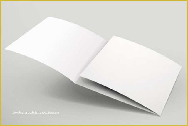 Blank Tri Fold Brochure Template Free Download Of Free Blank 3 Tri Fold Brochure Template Vector Titanui