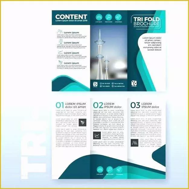 Blank Tri Fold Brochure Template Free Download Of Tri Fold Brochure Template Microsoft Word 2003