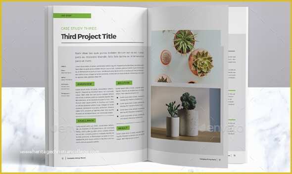 Booklet Template Free Download Of 10 Excellent Booklet Design Templates for Flourishing