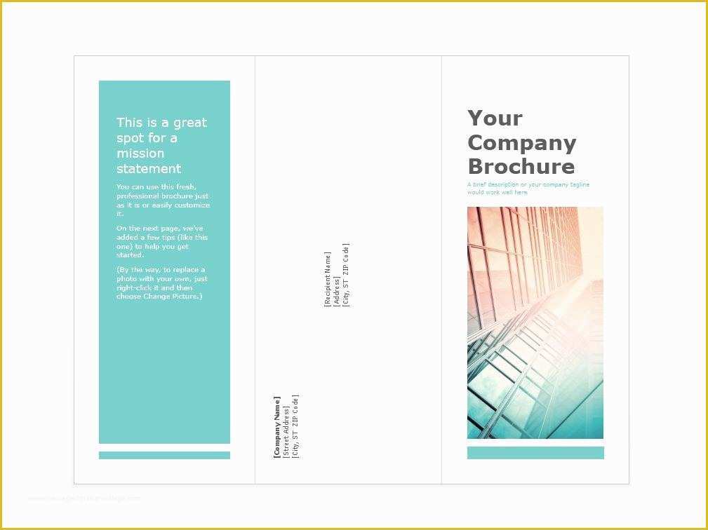 Booklet Template Free Download Of 31 Free Brochure Templates Word Pdf Template Lab