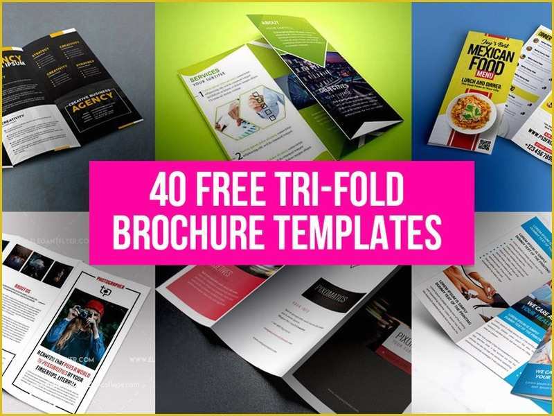 Brochure Design Templates Free Download Of 40 Free Tri Fold Brochure Templates Free Psd