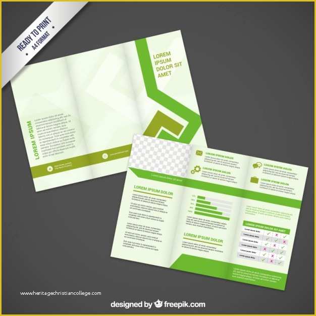 Brochure Design Templates Free Download Of Brochure Design In Green tones Vector