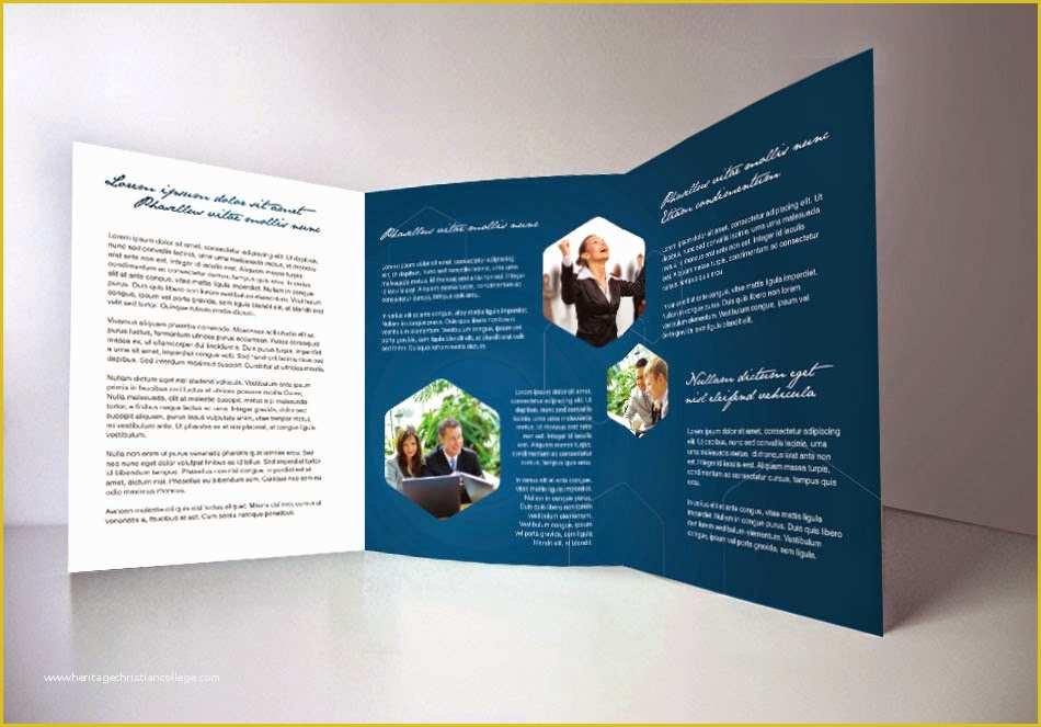 Brochure Design Templates Free Download Of Indesign Tri Fold Brochure Template Free Csoforumfo