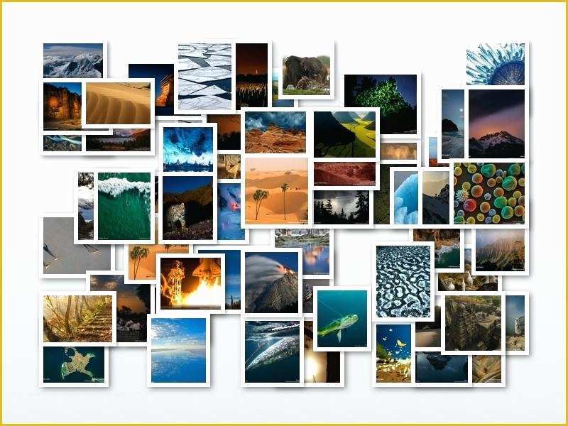 Collage after Effects Template Free Of Collage Template Vector Set Free Templates Download