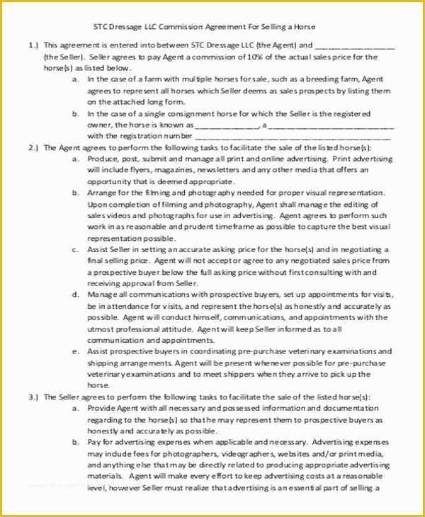 Commission Sales Agreement Template Free Of 5 Sample Horse Sales Contracts