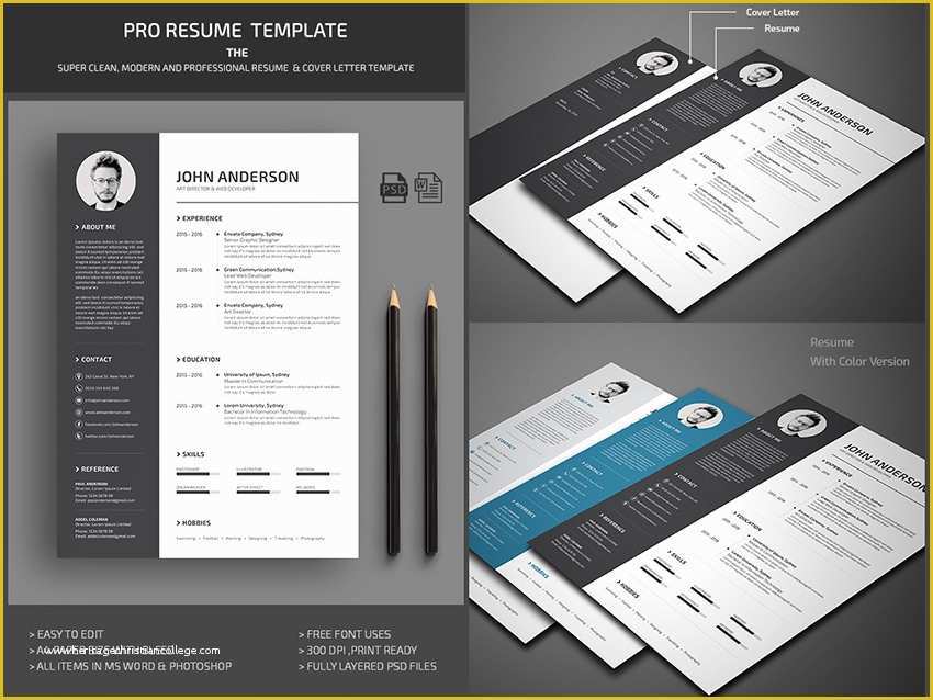 Contemporary Resume Templates Free Word Of 25 Professional Ms Word Resume Templates with Simple