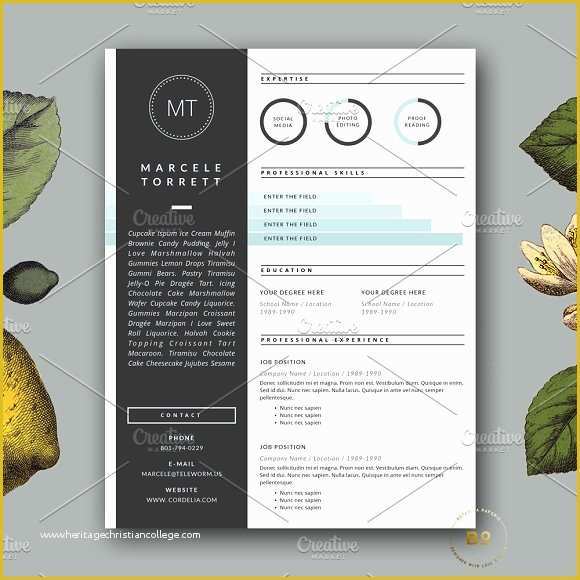 Contemporary Resume Templates Free Word Of Modern Cv Template for Word Resume Templates Creative