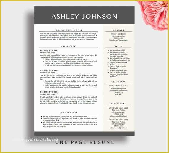 Contemporary Resume Templates Free Word Of Professional Resume Template for Word and Pages 1 3