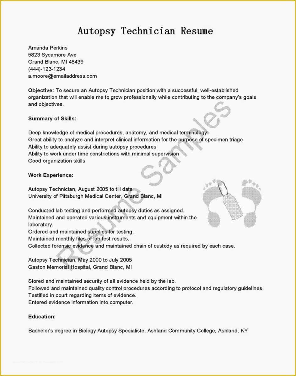 Cover Letter Template Word Free Download Of Free Fax Cover Letter 