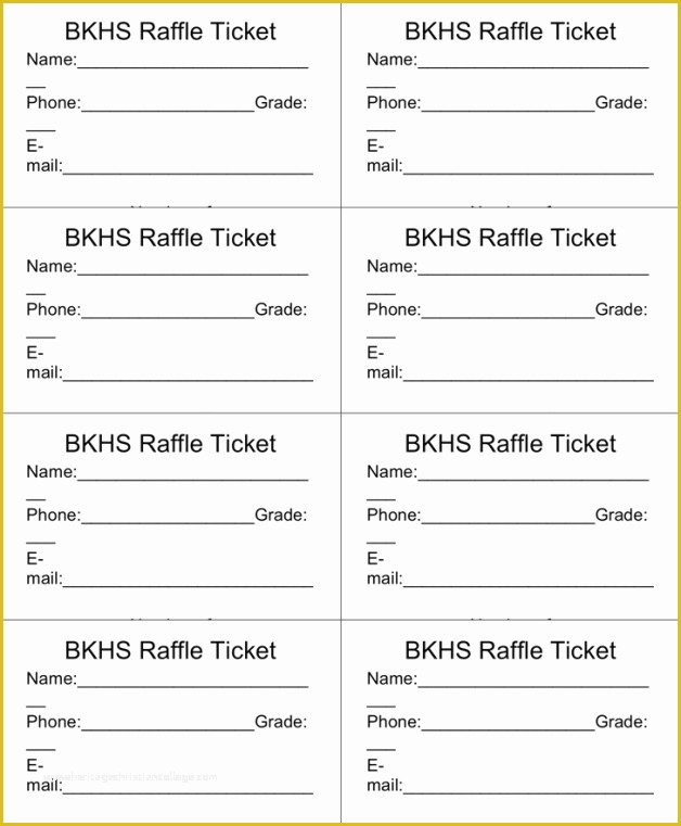 Editable Ticket Template Free Of Raffle Ticket Templates Word Templates Docs