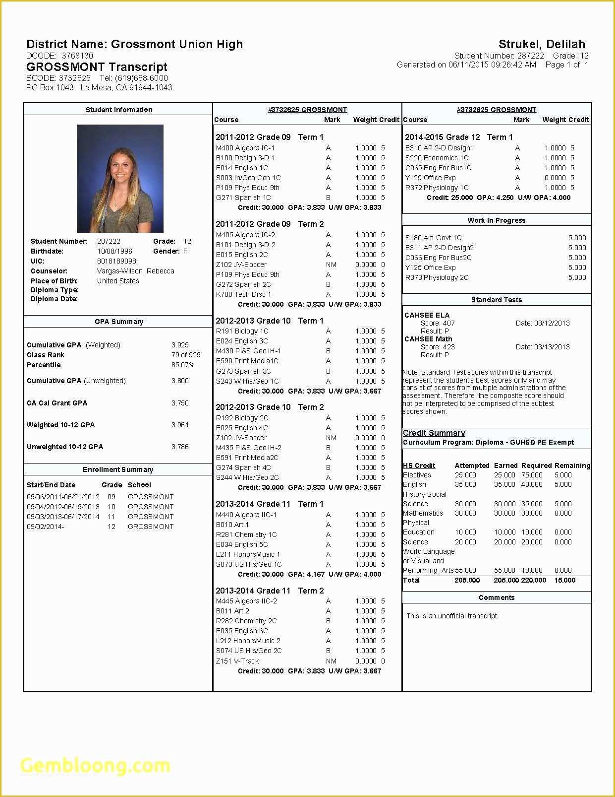 Fake High School Transcript Template Free Of College Transcripts Template