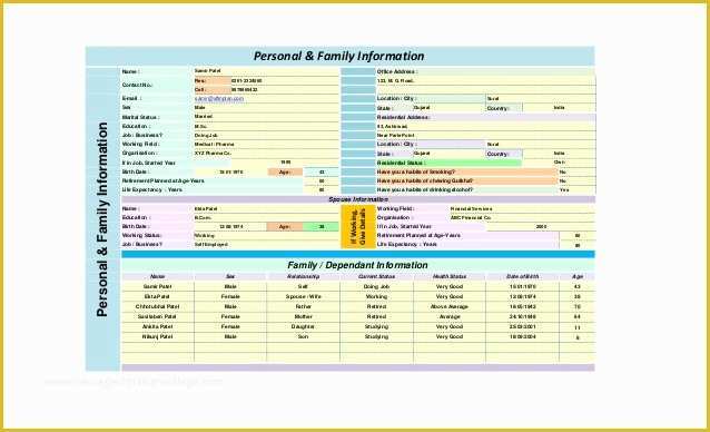 Financial Advisor Business Plan Template Free Of Personal Financial Planning Templates Excel Free Yearly