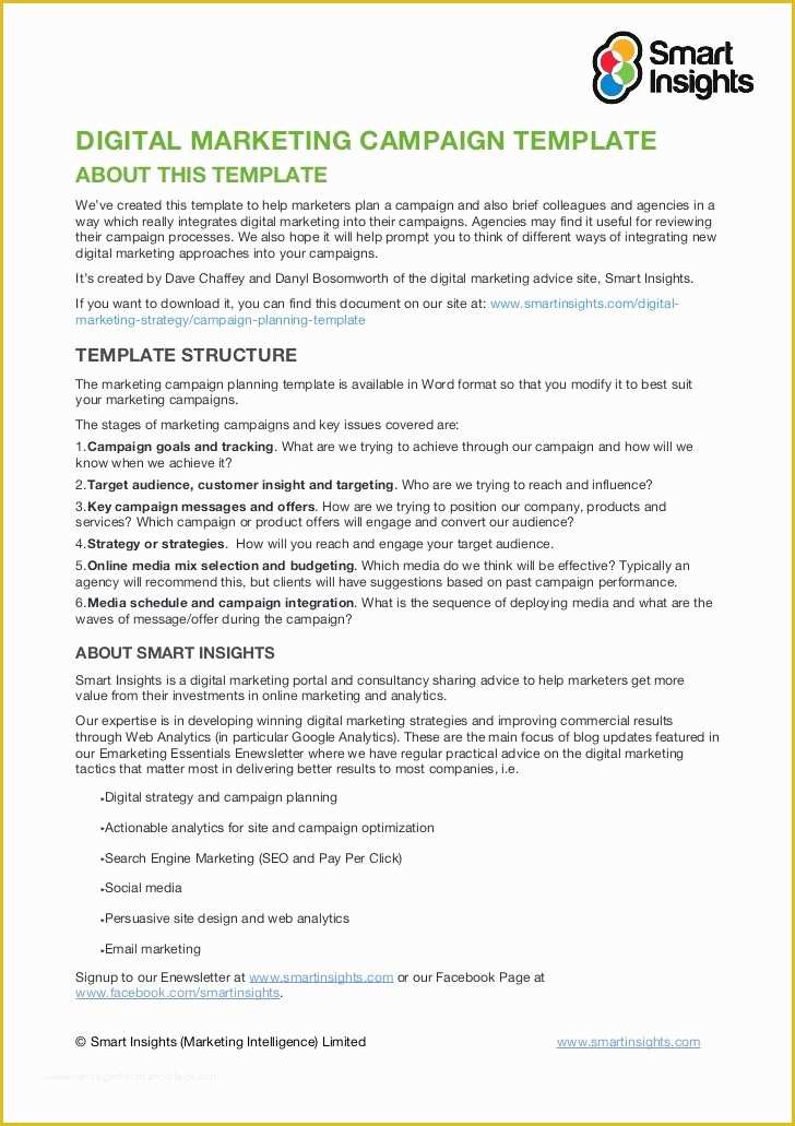 Free Advertising Proposal Template Of Digital Marketing Campaign Templateabout This Templatewe