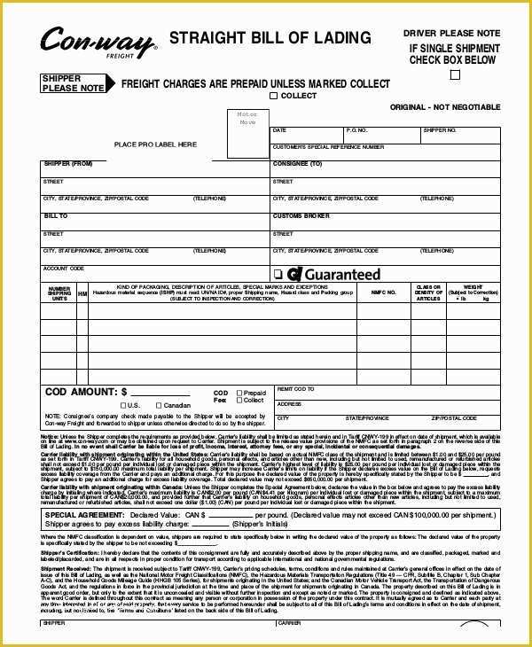 Free Bill Of Lading Template Of Simple Bill Of Lading Template 11 Free Word Pdf