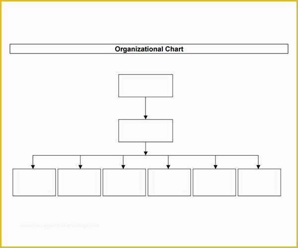 Free Blank Flow Chart Template for Word Of Business organizational Chart Template Mac Templates