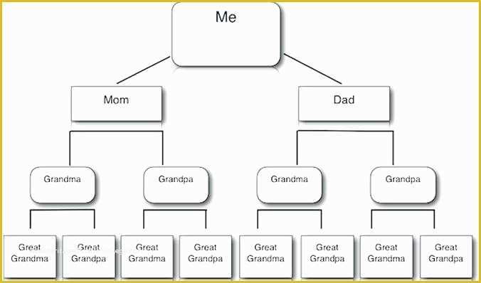 Free Blank Flow Chart Template for Word Of Free Blank Flow Chart Template Graph Table Pertaining to