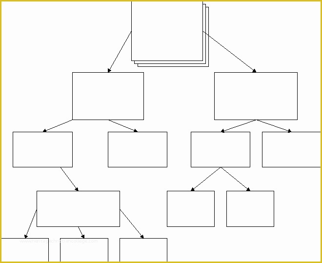 Free Blank Flow Chart Template for Word Of Taxonomy Chart Maker Related Keywords Taxonomy Chart