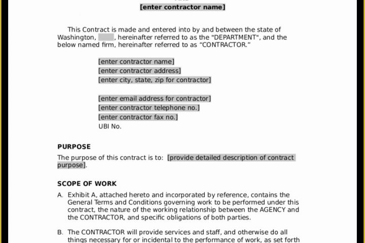 Free Caregiver Contract Template Of Blank Contract Example Mughals