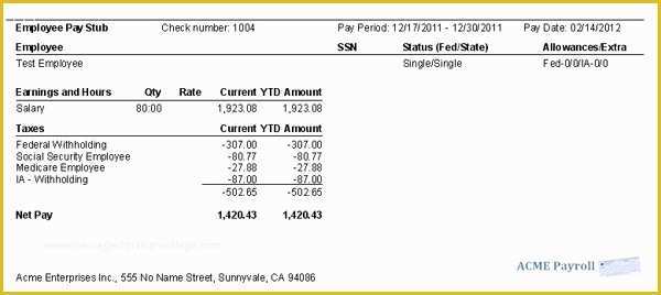 Free Check Stub Template Printables Of 9 Printable Paycheck Stubs