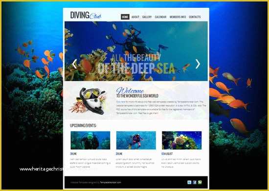 Free Club Website Templates Of 45 High Quality Free HTML5 and Css3 Website Templates