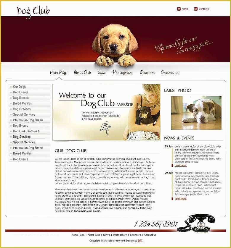 Free Club Website Templates Of Free Dog Club Website Template