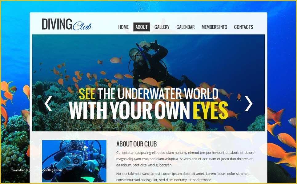 Free Club Website Templates Of Free Website Template Diving Club