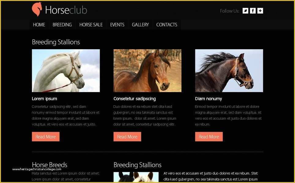 Free Club Website Templates Of Free Website Template Horse Club